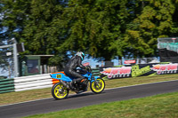 cadwell-no-limits-trackday;cadwell-park;cadwell-park-photographs;cadwell-trackday-photographs;enduro-digital-images;event-digital-images;eventdigitalimages;no-limits-trackdays;peter-wileman-photography;racing-digital-images;trackday-digital-images;trackday-photos